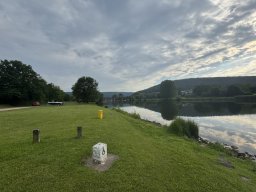 Mainschwimmen Juni 2026